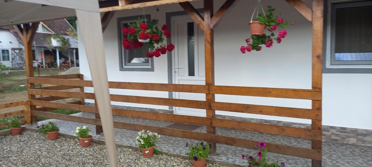 Ieşelniţa Casa Claudiu 빌라 외부 사진